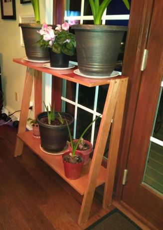 Custom Plant Stand